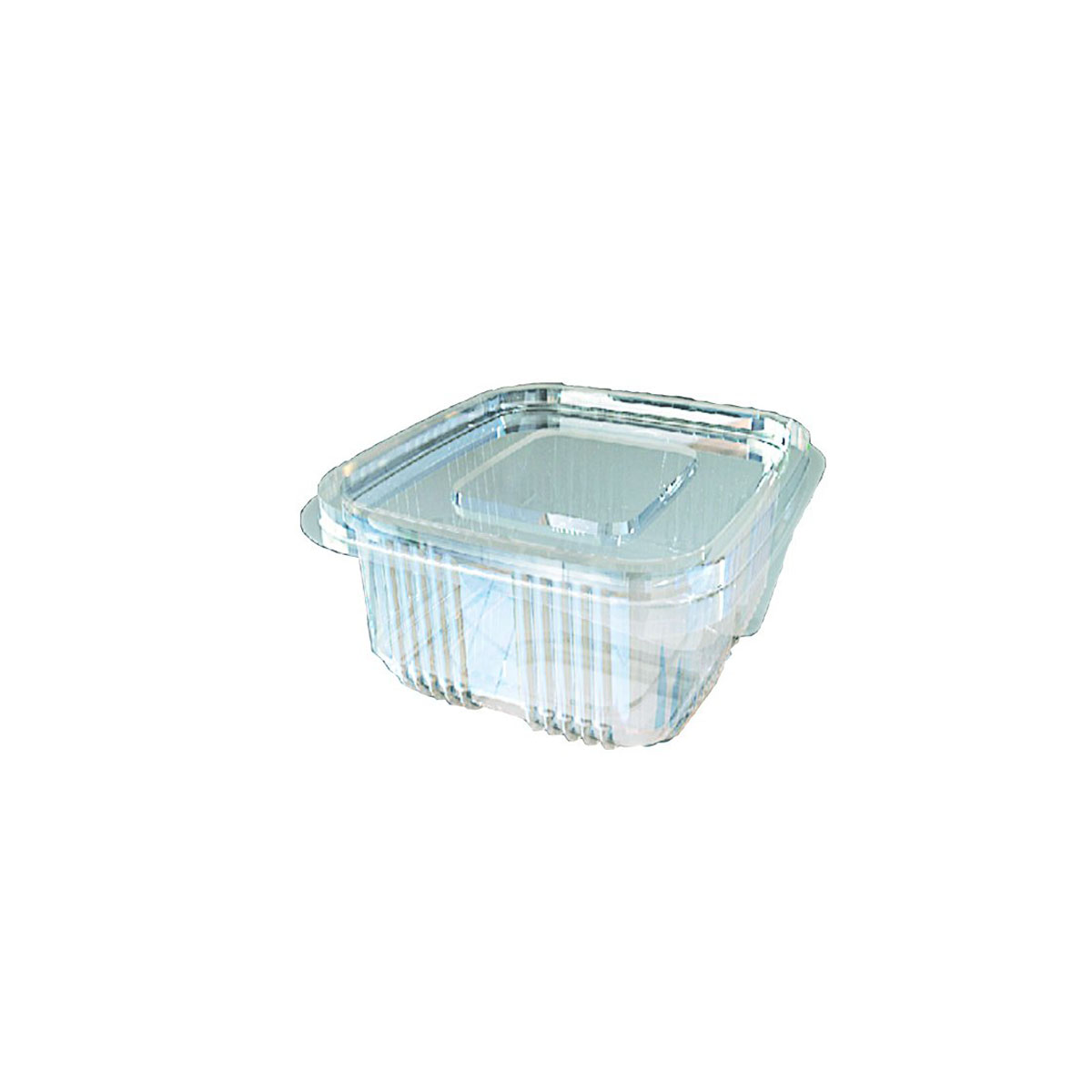 Sızdırmaz Kase 250 Gr 100 Adet